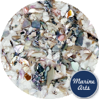 Craft Pack - Tumbled Abalone - Sand